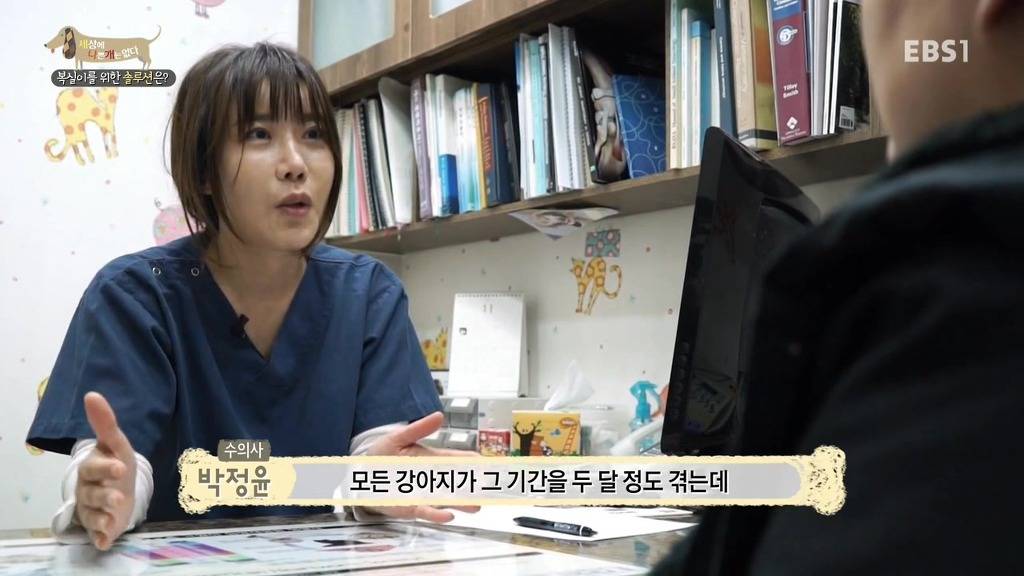 개 키울때 중성화 수술을 해줘야하는 이유 (feat.세나개) | 인스티즈