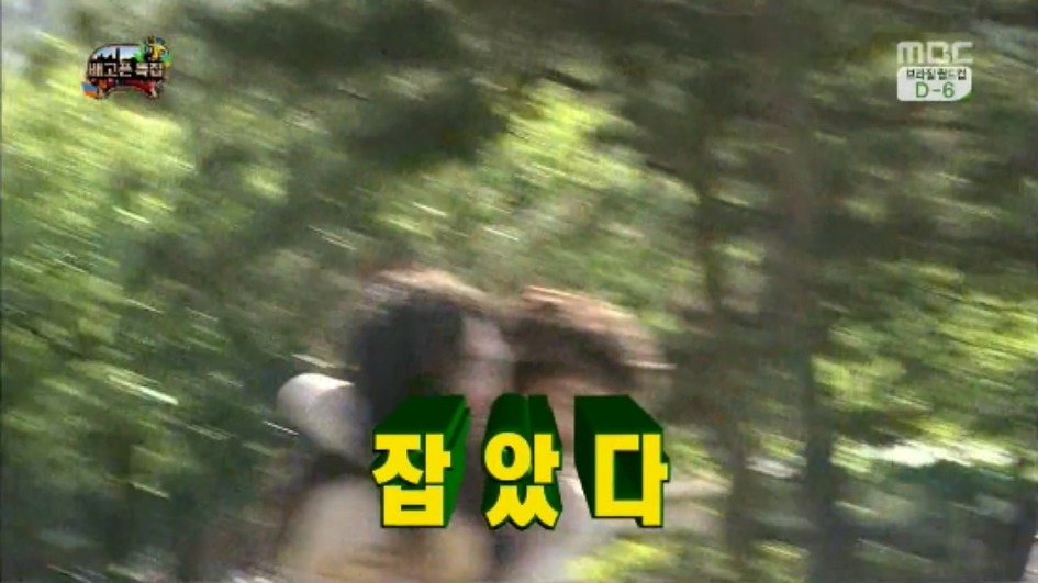 [무한도전] 무한족 서울 도심에서 비둘기 잡기 jpg | 인스티즈