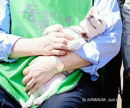 문재인 마약방석에서 극락 맛 본 댕댕이가 곧 입양된다는 기쁜소식!!!! | 인스티즈