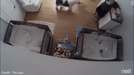 엄마가 잠깐 한눈 판 사이에 높은곳에서 떨어지는 11개월 동생 받아내는 9살 형.gif | 인스티즈