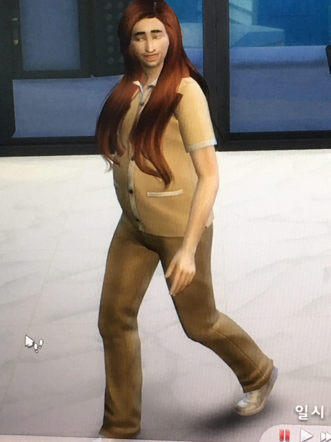 우당탕탕 여시의 심즈 만들기 대장정 | 인스티즈