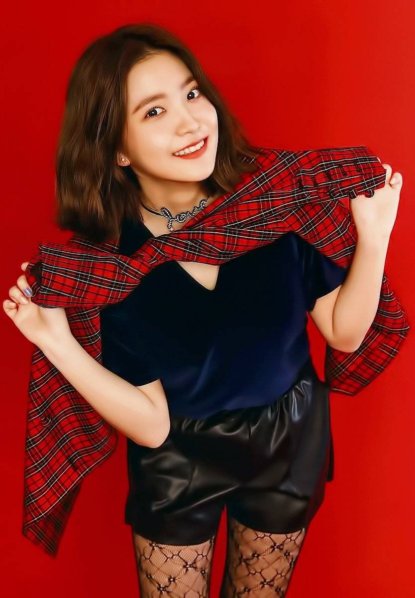 2018년 첫 레드벨벳 | 인스티즈