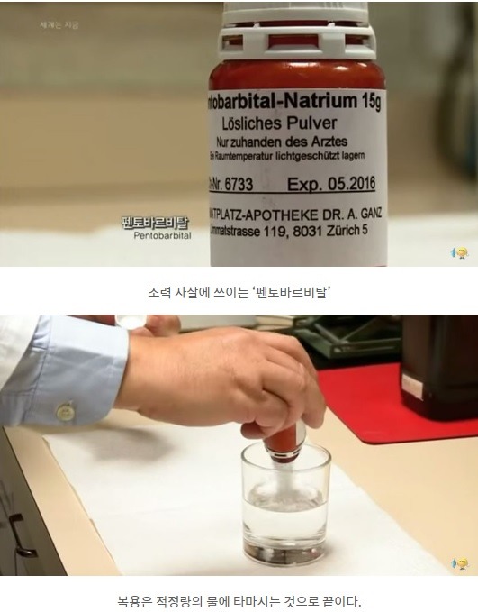 조력자살에 쓰이는 약.jpg | 인스티즈