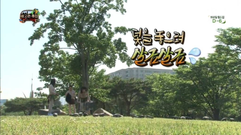 [무한도전] 무한족 서울 도심에서 비둘기 잡기 jpg | 인스티즈