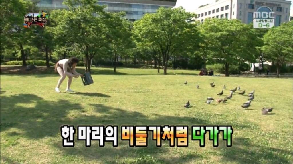 [무한도전] 무한족 서울 도심에서 비둘기 잡기 jpg | 인스티즈