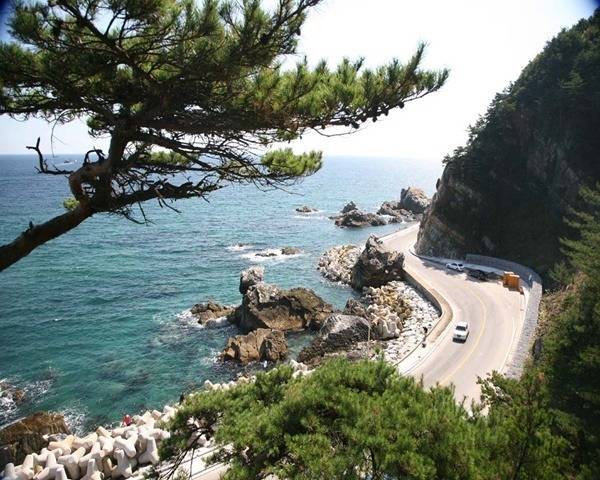 대한민국 최고의 드라이브코스들 총망라 | 인스티즈