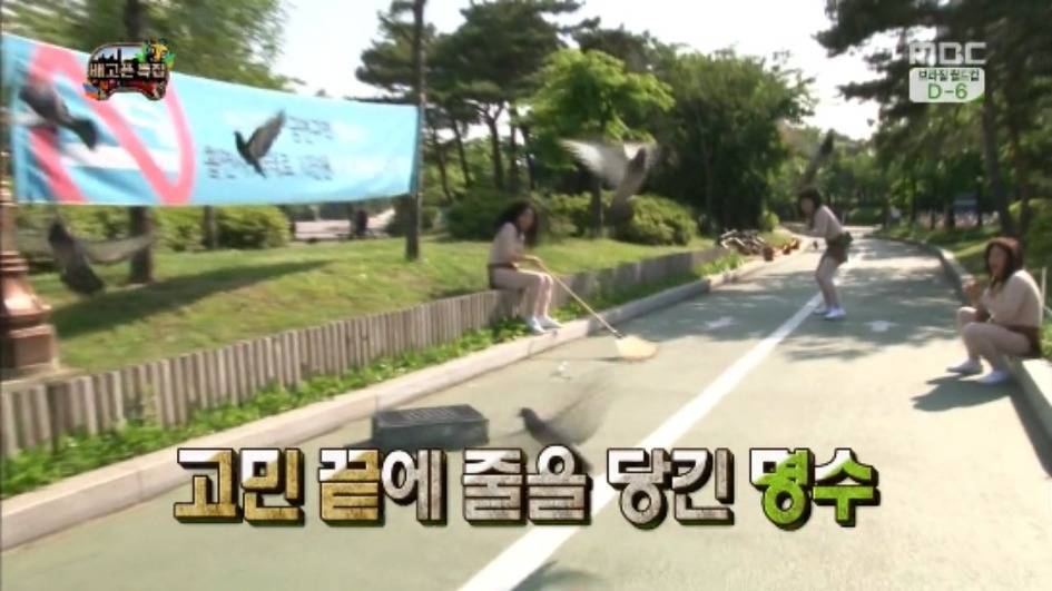 [무한도전] 무한족 서울 도심에서 비둘기 잡기 jpg | 인스티즈