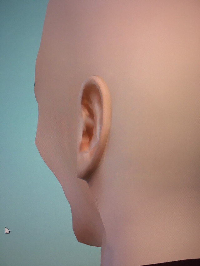 우당탕탕 여시의 심즈 만들기 대장정 | 인스티즈