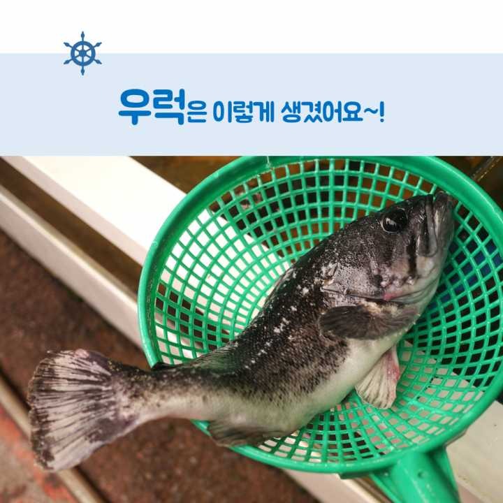 생선회 구별법.JPG | 인스티즈