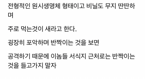 보기보다 훨씬 더 위험한 생물들 (혐오주의) | 인스티즈