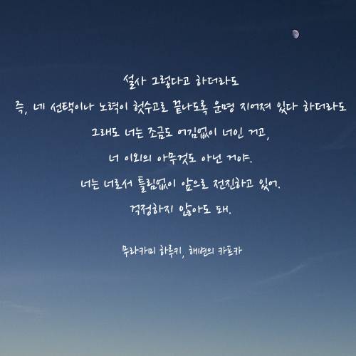 인생의 목적은 사랑받는 사람이 되는 것이 아니라 자기 자신이 되는 거란다 | 인스티즈