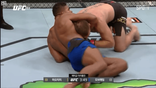 미오치치 vs 런두 | 인스티즈