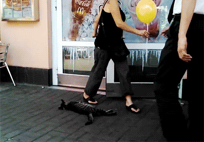 맥도날드 진상 | 인스티즈