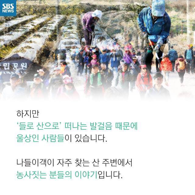 시골인심을 강요하는 사람들때문에 피해보는 농부들 | 인스티즈