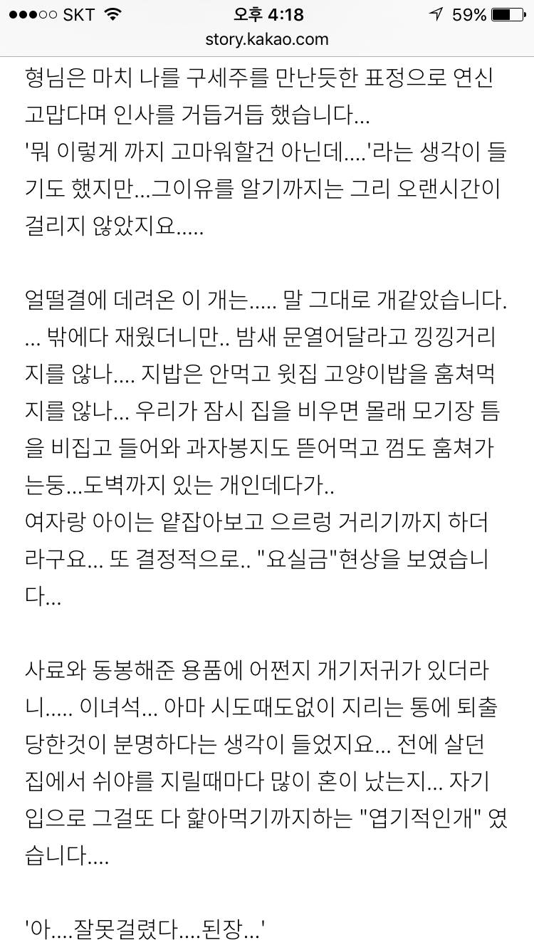 동물농장 '상연이' 주인의 반전... + 댓글제보추가 | 인스티즈
