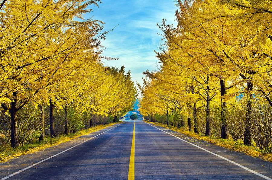 대한민국 최고의 드라이브코스들 총망라 | 인스티즈