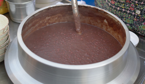 [고르기] 오갈데 없는 여시와 함께 있어줄 사람을 골라보자 | 인스티즈