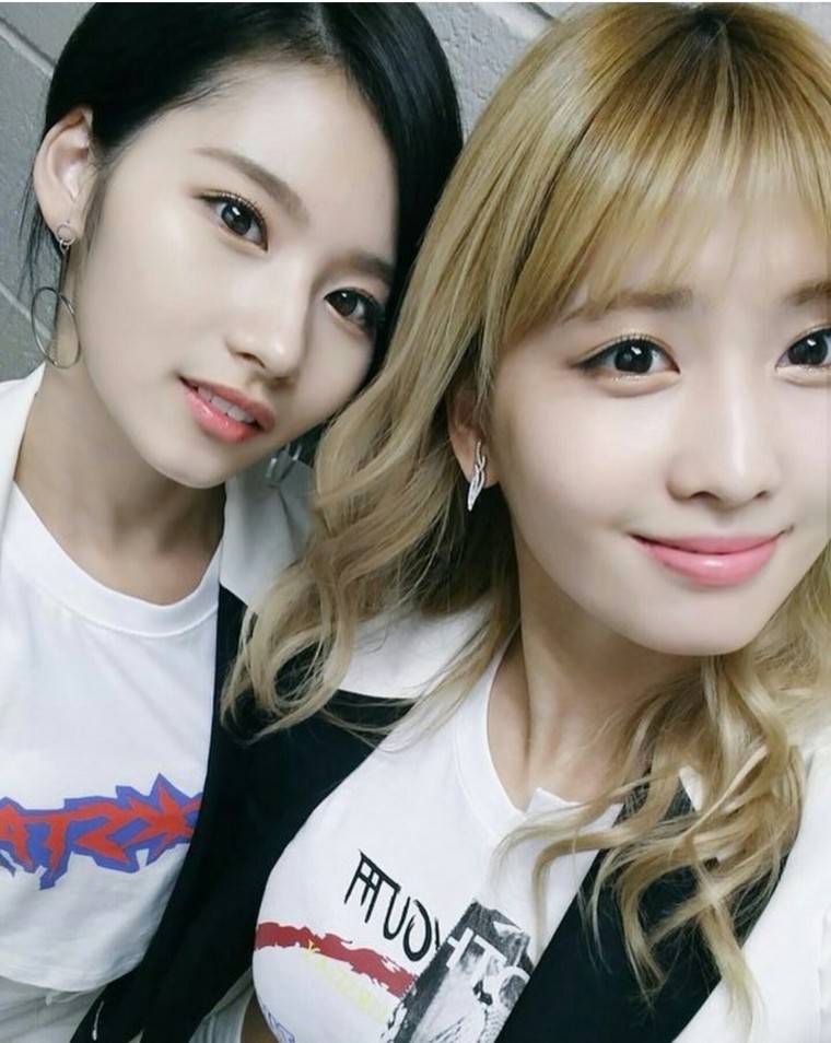 트와이스) 일본에서도 희귀하다는 사나의 성씨에 대해 알아보자 | 인스티즈