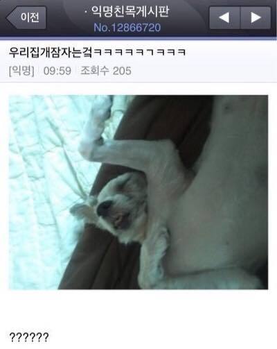 남자분들여자가슴만지는이유 | 인스티즈