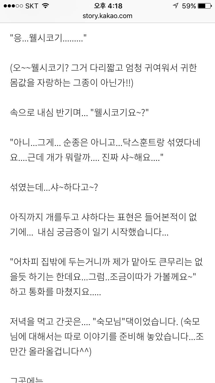 동물농장 '상연이' 주인의 반전... + 댓글제보추가 | 인스티즈
