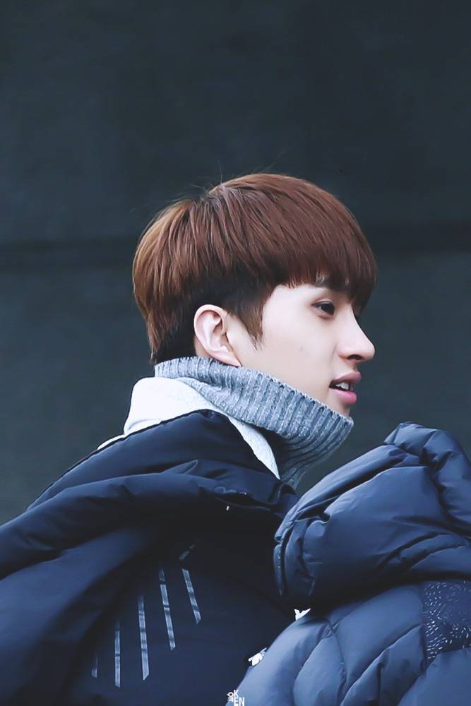 취향 갈리는 남자 콧대 111 둥근코(곡선) vs 222 쭉뻗은코 (직선) | 인스티즈