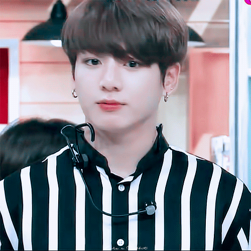 [방탄소년단] 애완동물 일곱 마리와 나 06 | 인스티즈