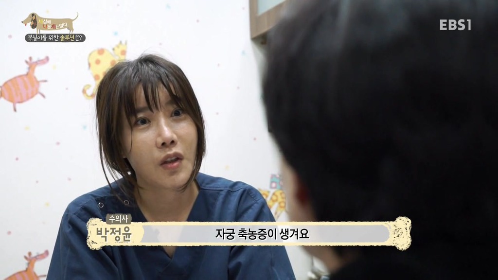 개 키울때 중성화 수술을 해줘야하는 이유 (feat.세나개) | 인스티즈