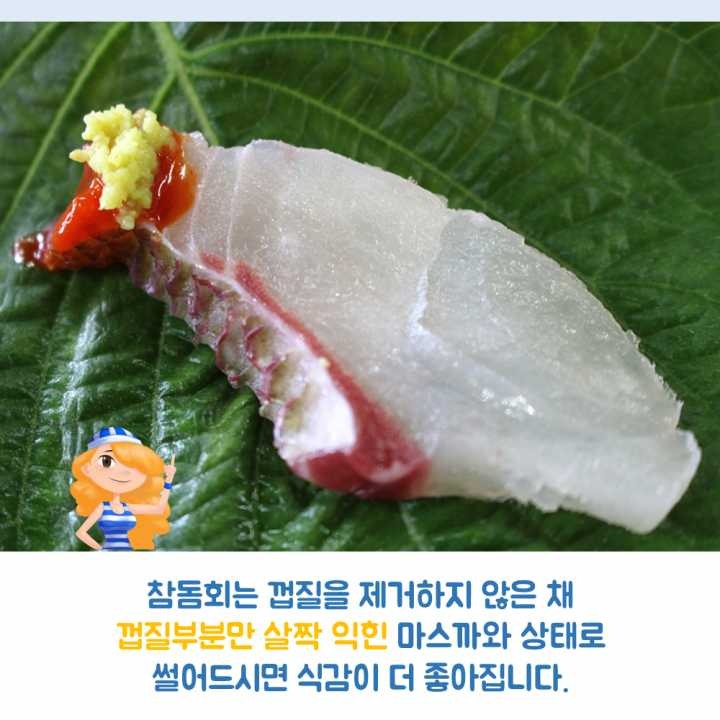 생선회 구별법.JPG | 인스티즈