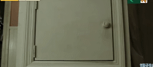 아빠가 큰 고양이를 입양해왔는데.. 개무섭고 개시름;.gif | 인스티즈