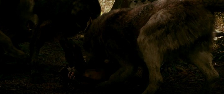 [영화] 뱀파이어를 사랑한 인간, 인간을 사랑한 늑대인간 뉴문 5 | 인스티즈