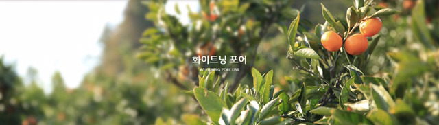 이니스프리가 얼마나 제주도를 탈탈 터는지 알아보자(feat.제주도 착즙기 브랜드).jpg | 인스티즈