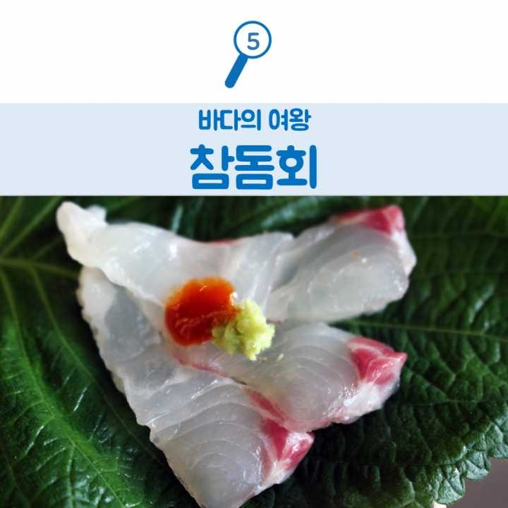 생선회 구별법.JPG | 인스티즈