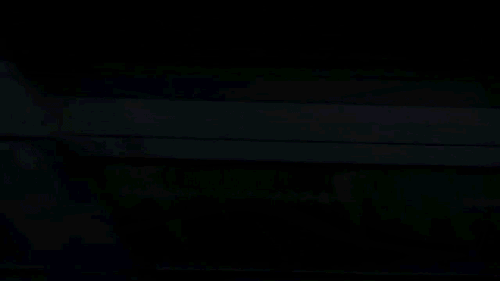 호불호 꽤나 갈리는 여행지 홍콩.jpgif | 인스티즈