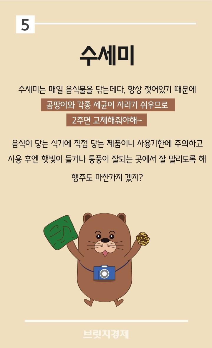 칫솔은 3개월에 한번씩 교체하자구...고데기,렌즈케이즈 등.jpg | 인스티즈