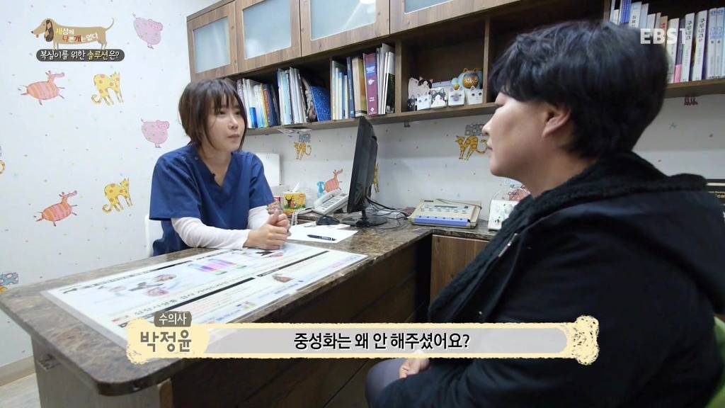 개 키울때 중성화 수술을 해줘야하는 이유 (feat.세나개) | 인스티즈