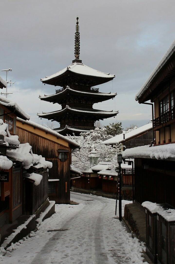 일본 교토의 가볼만한 여러 관광지들.jpg | 인스티즈