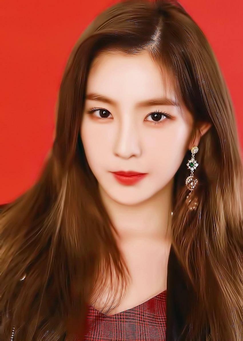 2018년 첫 레드벨벳 | 인스티즈