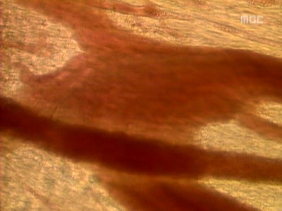 [거침없이하이킥] 박해미 앞에서 온순해진 민용이 ㅋㅋㅋㅋㅋ.jpg | 인스티즈