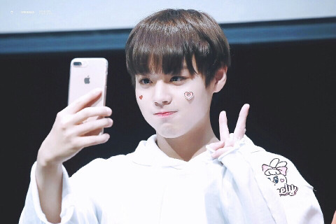 [고르기] 좀비 세상이 왔을때 함께할 팀 고르기 (데이터 주의) | 인스티즈