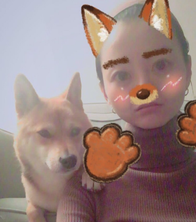 연예인들의 반려동물 | 인스티즈