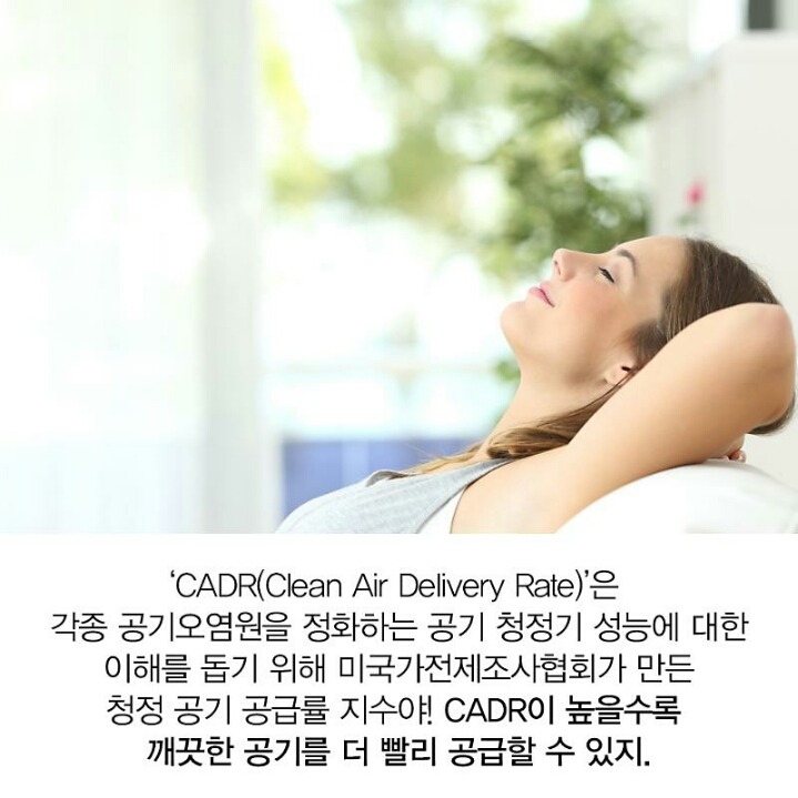 공기청정기 제대로 고르는법 | 인스티즈