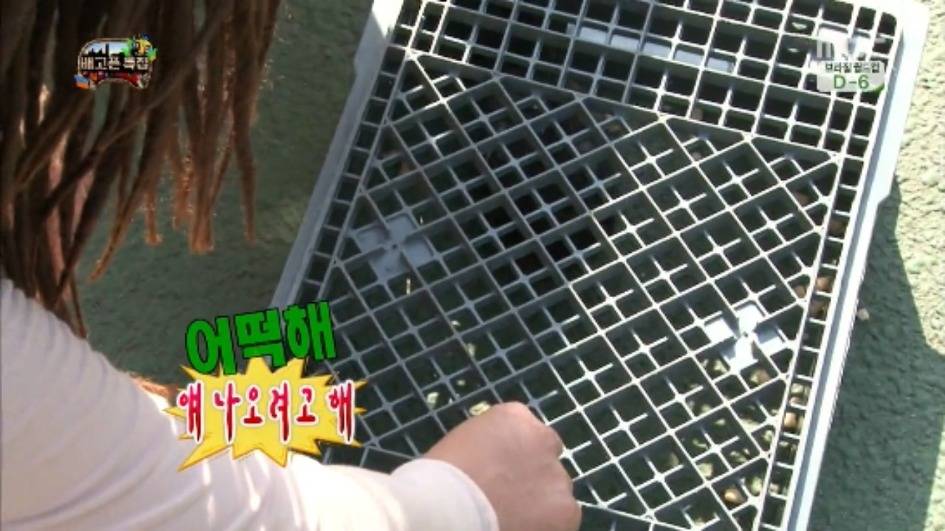 [무한도전] 무한족 서울 도심에서 비둘기 잡기 jpg | 인스티즈