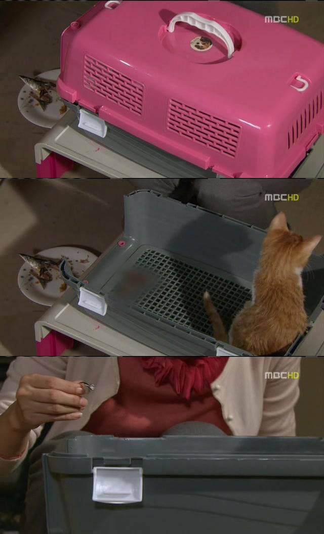 [지붕킥] 사라진 순재의 약혼반지 | 인스티즈