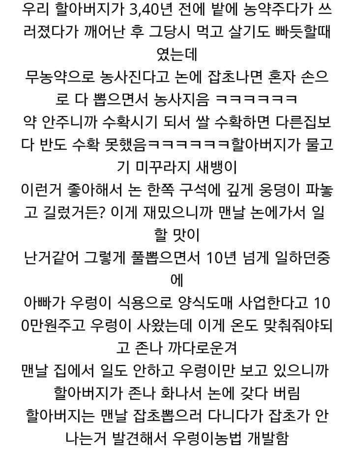 빡치게했던 아들의 취미가 대박 아이템 | 인스티즈