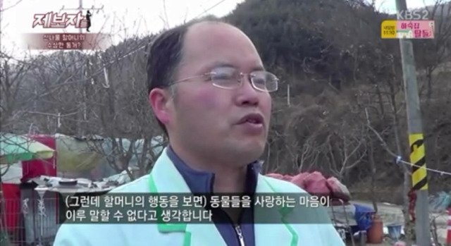 36마리의 유기견엄마 박옥래할머니 도와줘 여시들 | 인스티즈