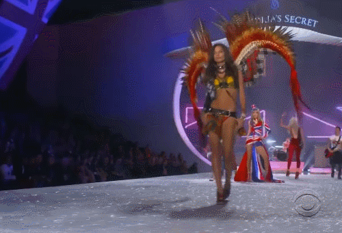 빅토리아 시크릿에서 가장 밀어주는 금수저 출신 모델 (15) | 인스티즈