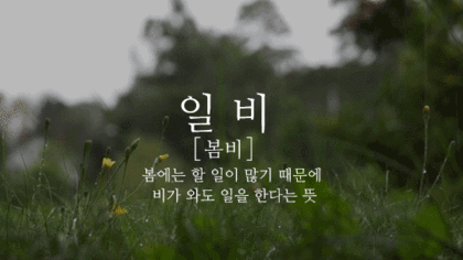  우리말로 된 예쁜 비이름 | 인스티즈