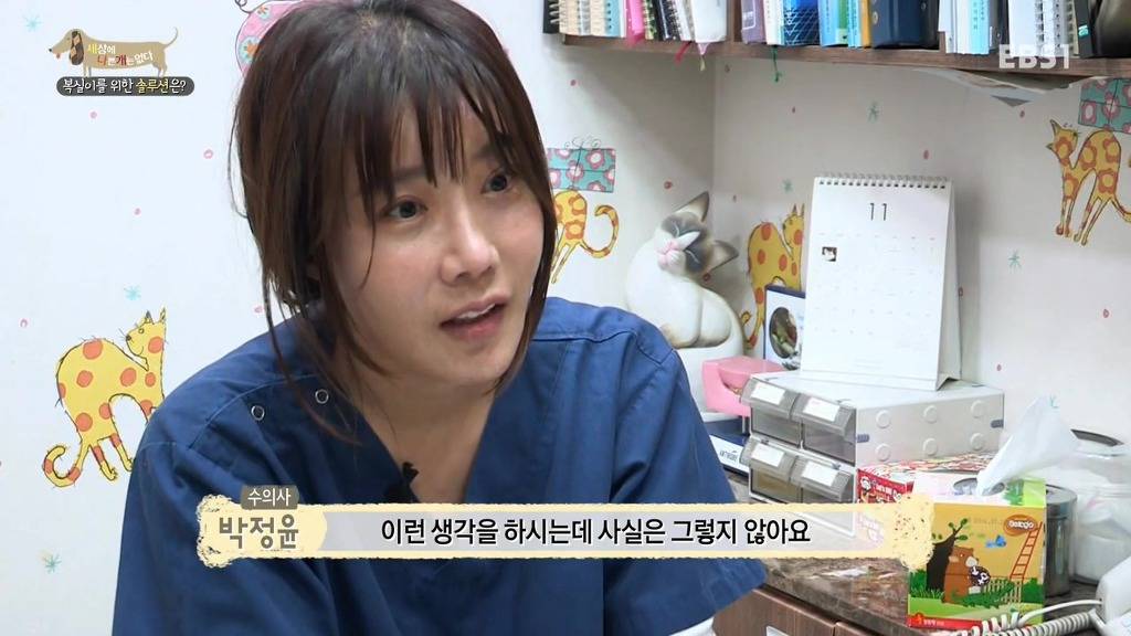 개 키울때 중성화 수술을 해줘야하는 이유 (feat.세나개) | 인스티즈