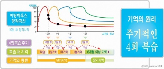 모든 교육자들이 강조하는 5대 공부법 | 인스티즈