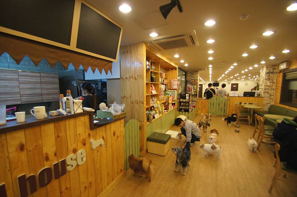 CNN선정 서울이 세계에서 가장 위대한 도시인 50가지 이유 | 인스티즈